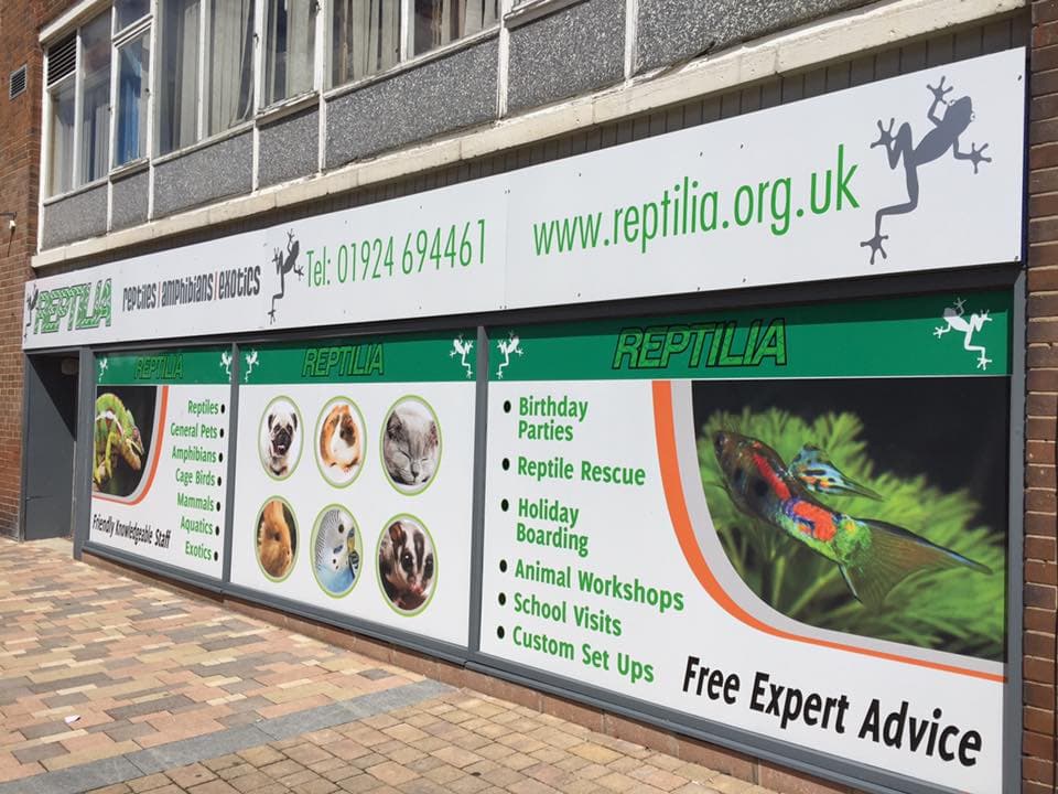 Reptilia Realm