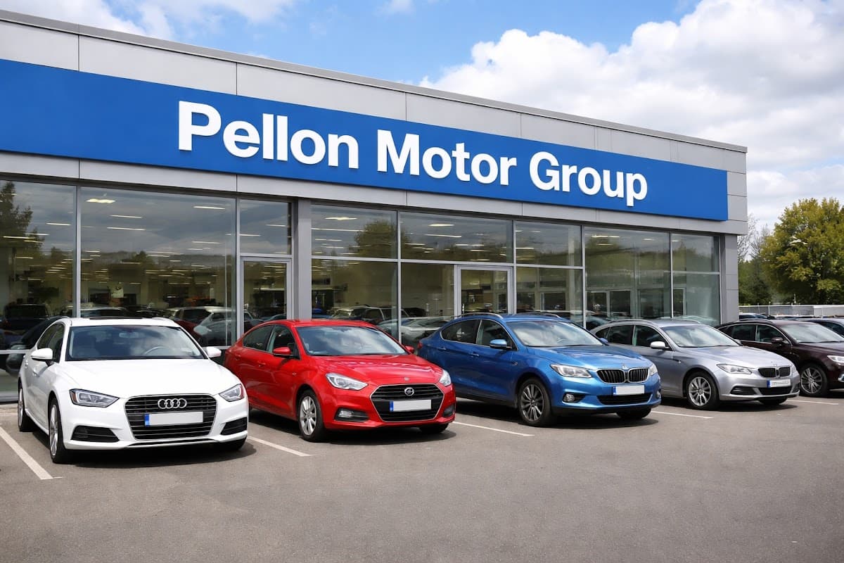 Pellon Motor Group