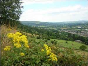 Visit Chevin Forest Park - Otley