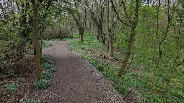 A winding path through a wooded area with bare trees and green foliage in Hutton Cranswick, Yorkshire.