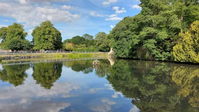 Serene duck pond reflecting trees and clouds, surrounded by lush greenery and a wooden railing in Cherry Burton, Yorkshire.
