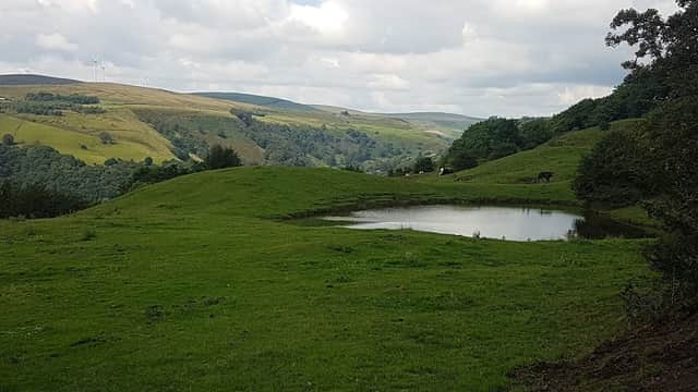Ashenhurst Pond - Park in todmorden