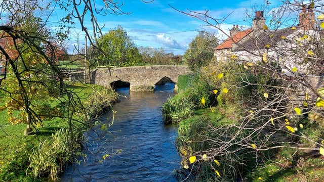 A stone bridge over a river, surrounded by greenery and autumn leaves, with a quaint building nearby.