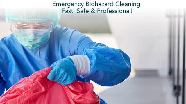 Crystal Clear Cleaning - Cleaners in heeley