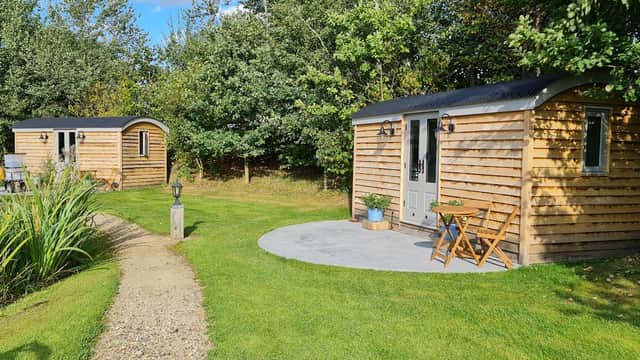 Two wooden cabins in a grassy area surrounded by trees, with a stone path and outdoor seating.