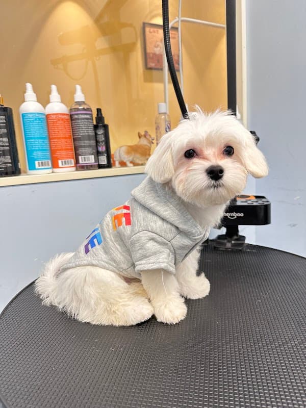 J home for pets