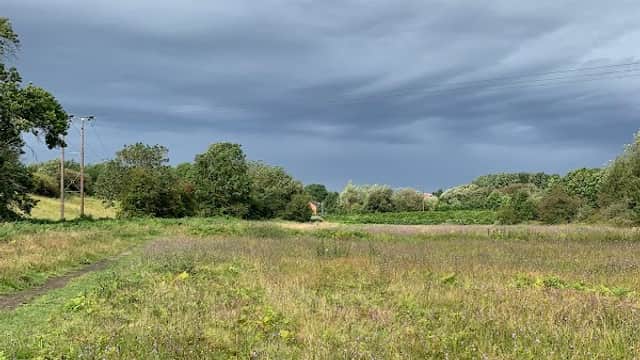 Expansive grassy field with wildflowers under a dramatic, cloudy sky at Maltby Low Common Nature Reserve.