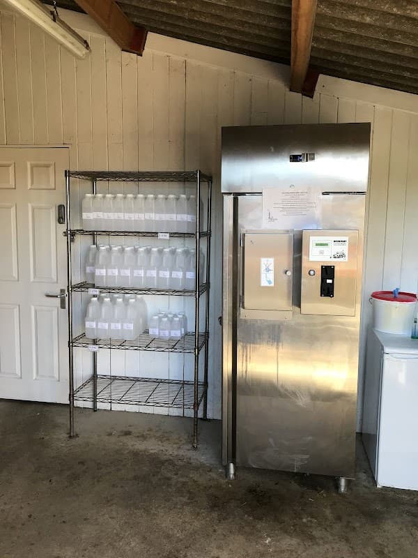 Cow Corner Milk
