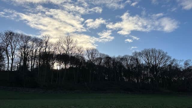 Newhall Wood - Park in mirfield