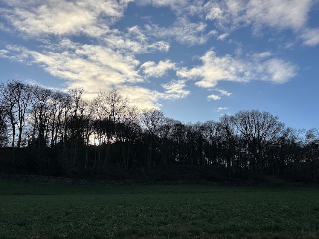 Newhall Wood