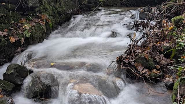 A serene stream flows over rocks, surrounded by lush greenery and autumn leaves, with a wooden structure in the background.