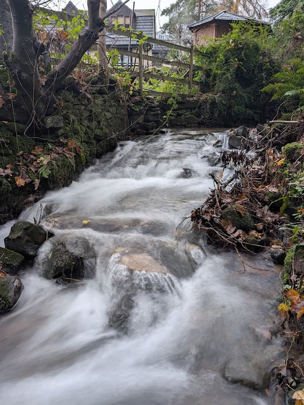 A serene stream flows over rocks, surrounded by lush greenery and autumn leaves, with a wooden structure in the background.