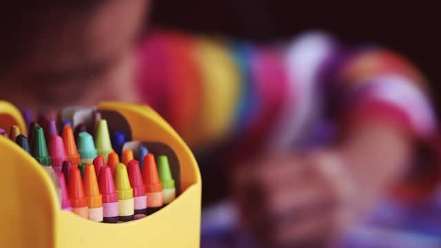 The Grange Nursery - Nurseries in pontefract