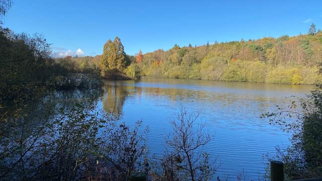 Serene lake surrounded by autumn foliage under a clear blue sky, with reflections on the water's surface.
