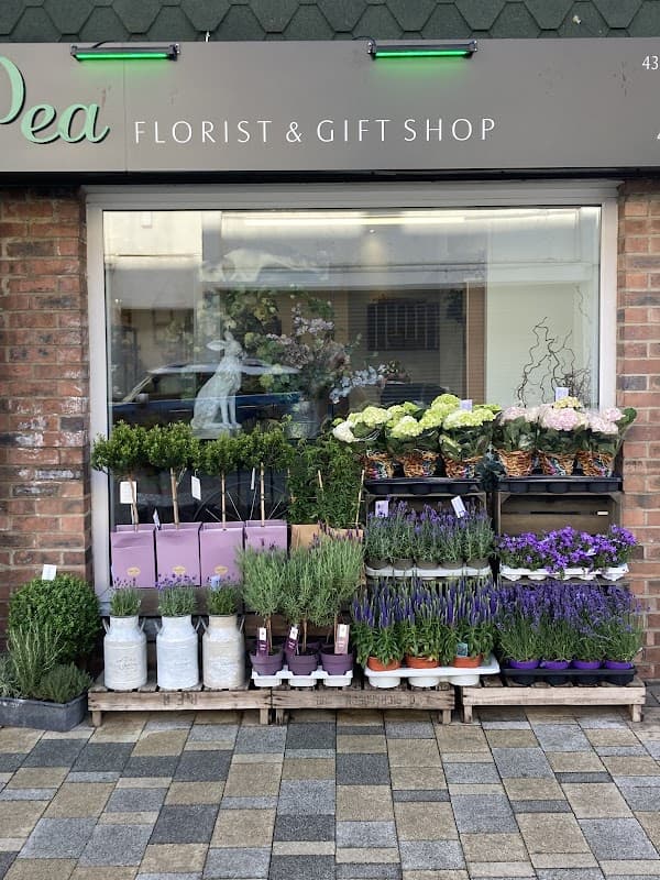 Sweet pea florist