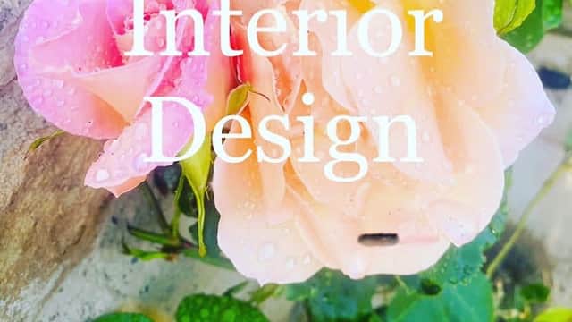 Colorful roses with water droplets, featuring text for MW Interior Design and contact details.