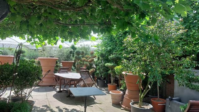 The Greenhouse Tearoom - Tea Rooms in stockton on the forest