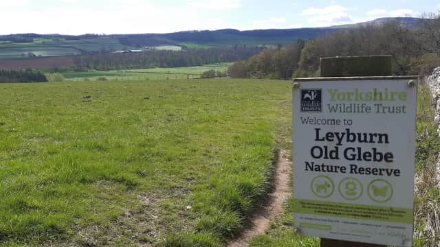Sign for Leyburn Old Glebe Nature Reserve with a scenic view of green fields and rolling hills in the background.