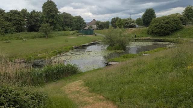 Arbourthorne Recreation Ground - Park in heeley