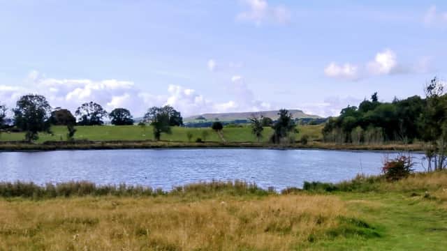 Serene pond surrounded by grassy banks and trees, with rolling hills in the background under a blue sky.