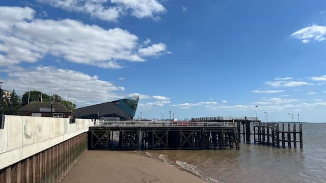 Bus Stop at The Deep - Aquariums in hull