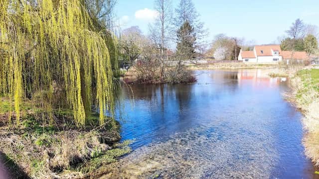 Serene pond surrounded by greenery, trees, and quaint houses under a clear blue sky.