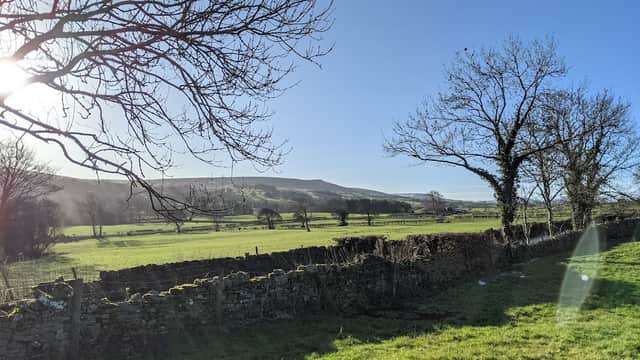 Lush green fields under a clear blue sky, with stone walls and bare trees, framed by distant hills in Coverham, Yorkshire.