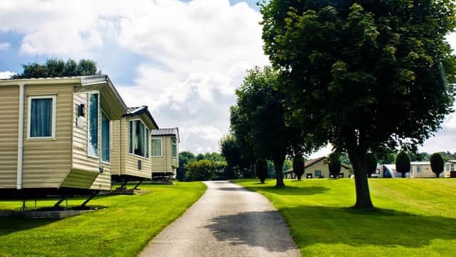 Caravan park with neatly arranged caravans along a tree-lined path and lush green lawns on a sunny day.