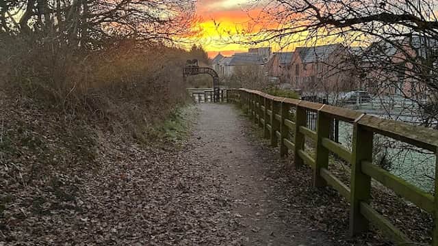 Sunset over a path lined with trees and fallen leaves, leading to a wooden fence and distant buildings in Kiln Park.
