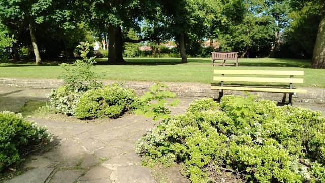 Lush greenery and shrubs surround a stone path, with a wooden bench in a sunlit park setting.
