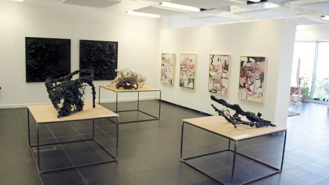 The Redcar Palace - Gallery in redcar