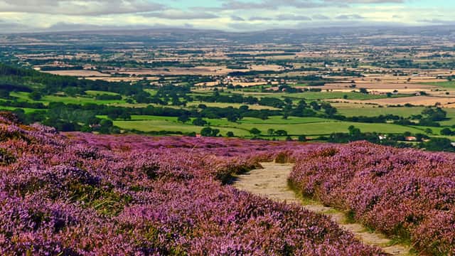 Contours Walking Holidays - Sports & Leisure in hathersage