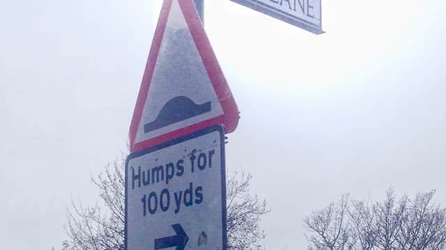 Street sign for Love Lane with a warning sign for humps ahead, surrounded by trees and a cloudy sky.