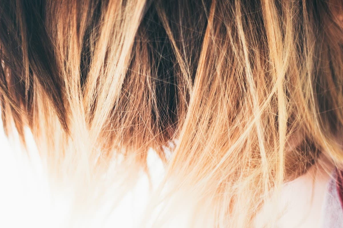 Kari-Anne Hair Studio