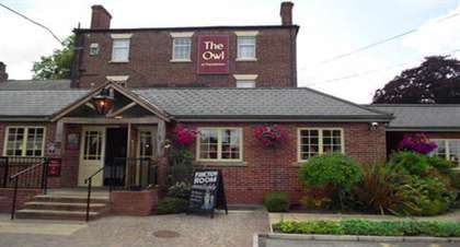 The Owl Hotel