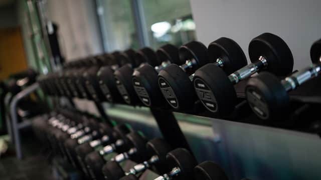 A row of black dumbbells on a rack, showcasing various weights in a modern gym setting.