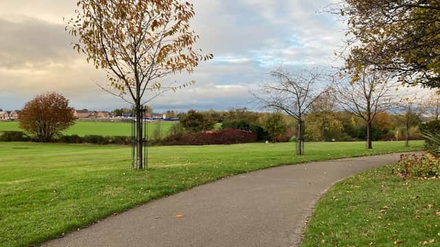 Pathway winding through green grass with young trees, under a cloudy sky in Monk Bretton Park, Yorkshire.