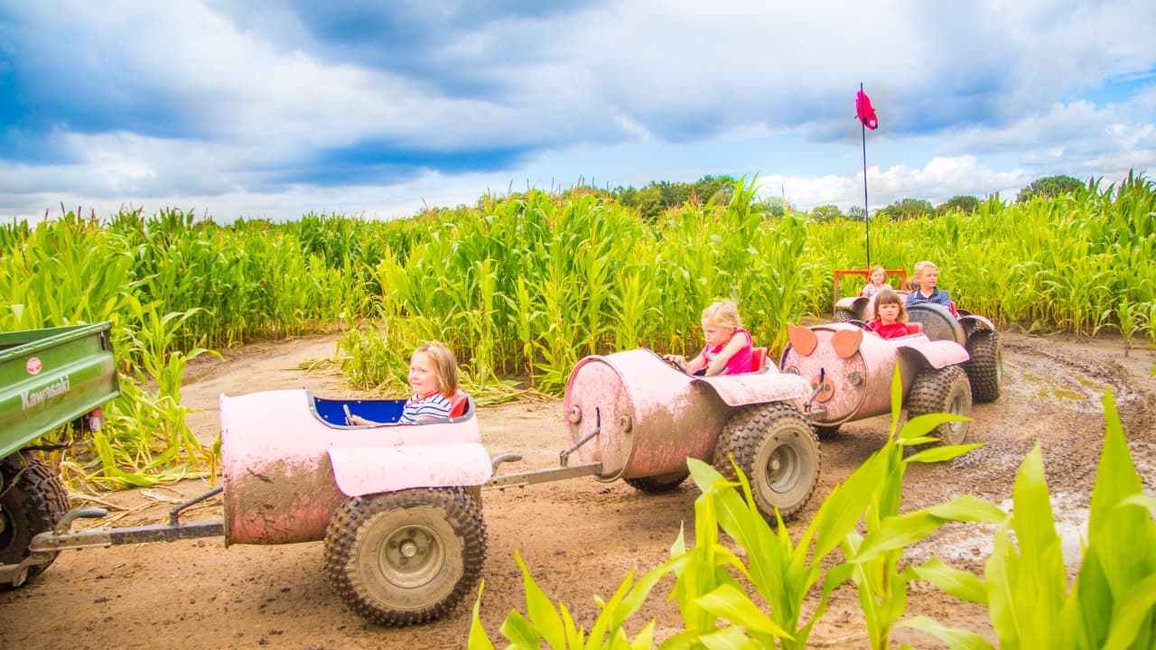 Piglets Adventure Farm Park - Family Fun In York