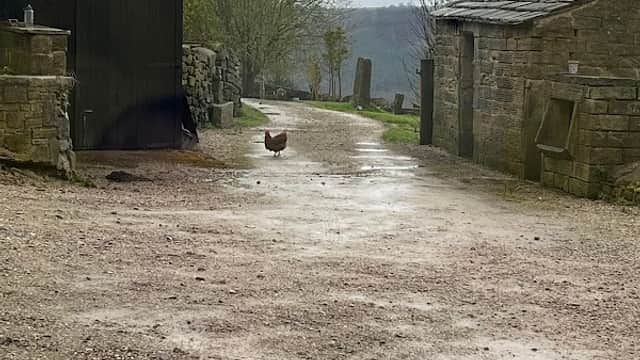Accommodation at Hob Lane Farm Cottage in bolsterstone ewden village