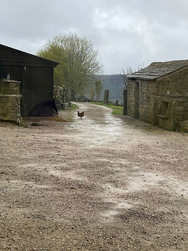 Hob Lane Farm Cottage