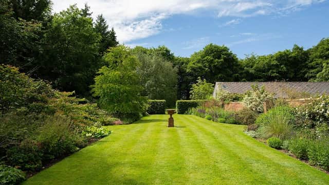 Jackson's Wold Garden - Garden in sherburn north yorkshire