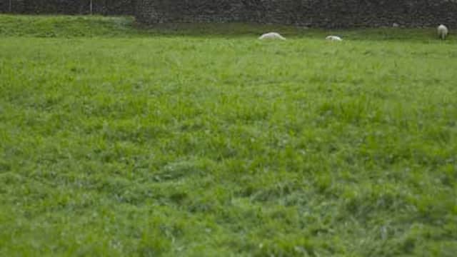 Reeth Tourist Information Centre - Visitor Centres in reeth