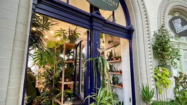 The Plant Point - Florists in leeds