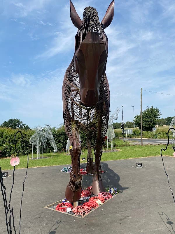 War Horse, A Place of Peace To Be Together