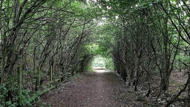 Shire Brook Valley Nature Reserve - Nature Reserves in woodhouse