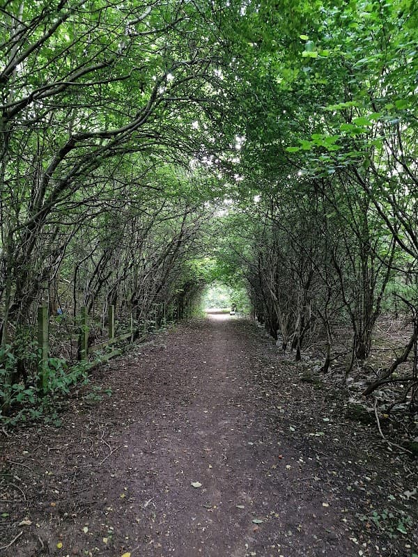 Shire Brook Valley Nature Reserve