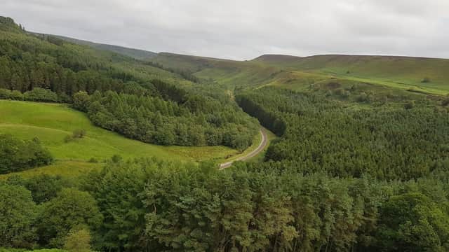 North Riding Forest Park - Park in dalby forest