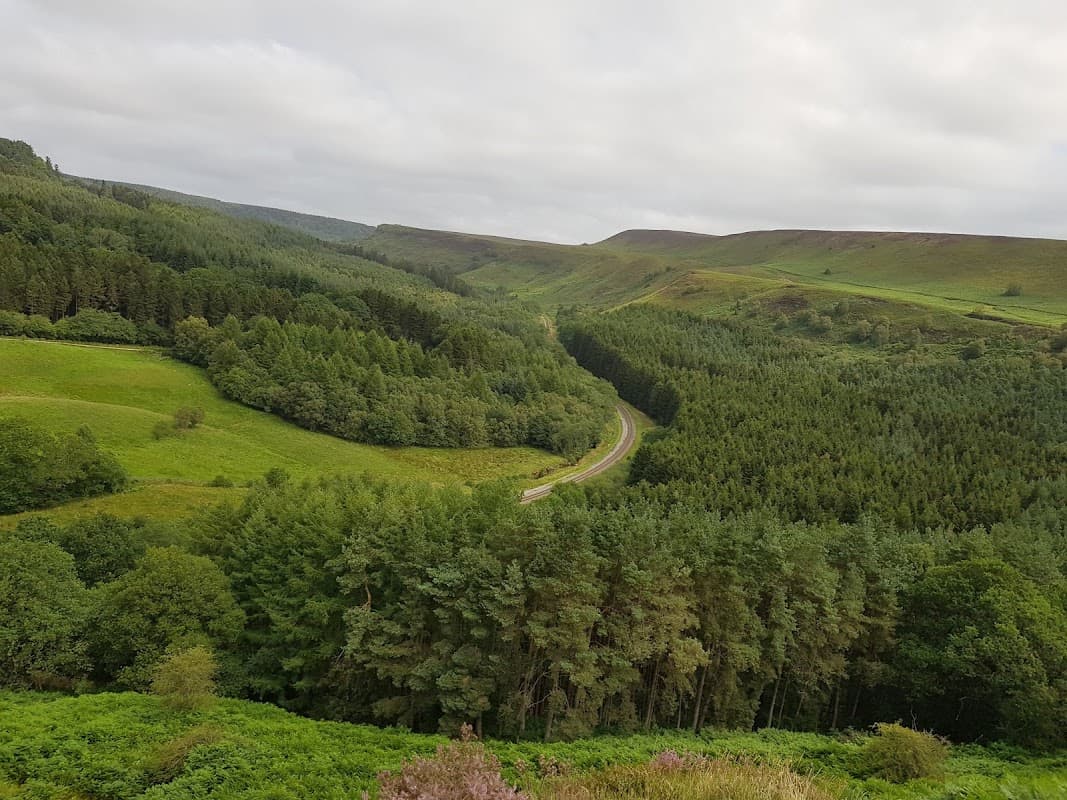 North Riding Forest Park