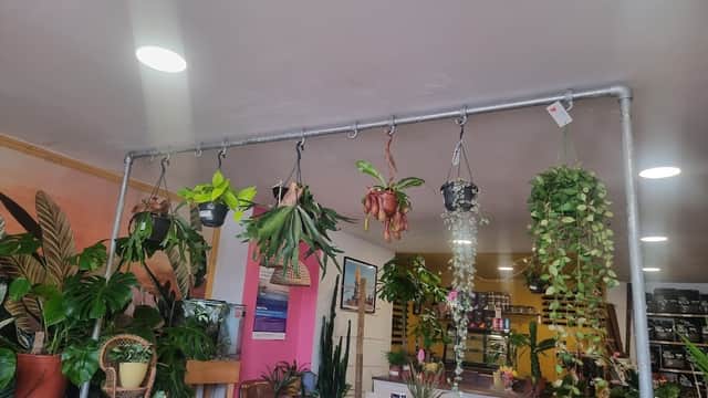 Cafe House of Foliage in redcar