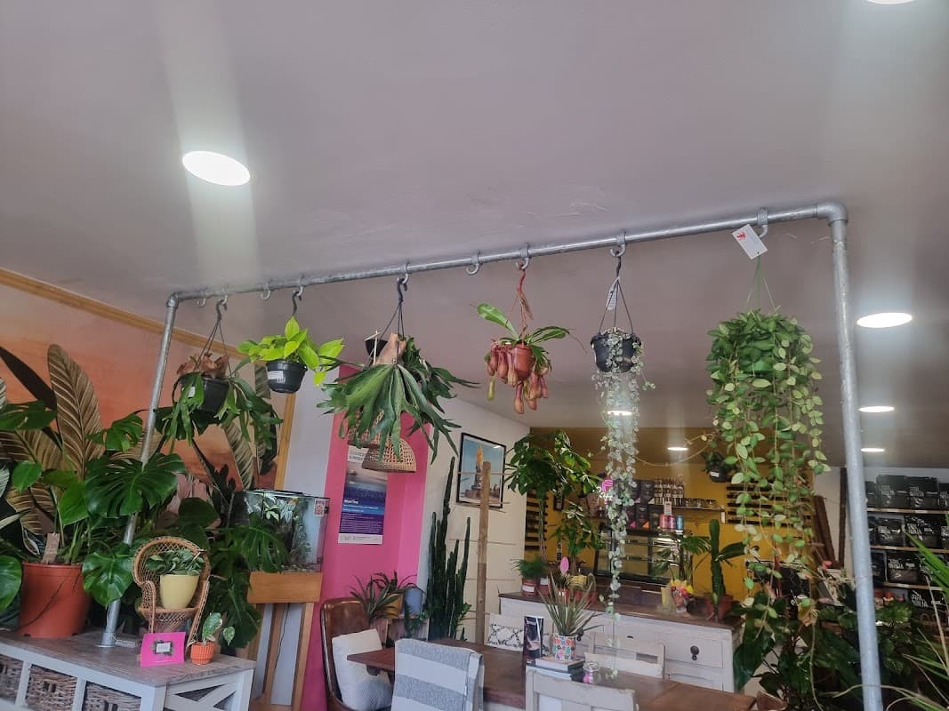 House of Foliage